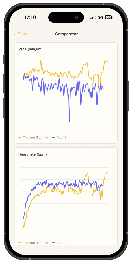 AI analysis of a run